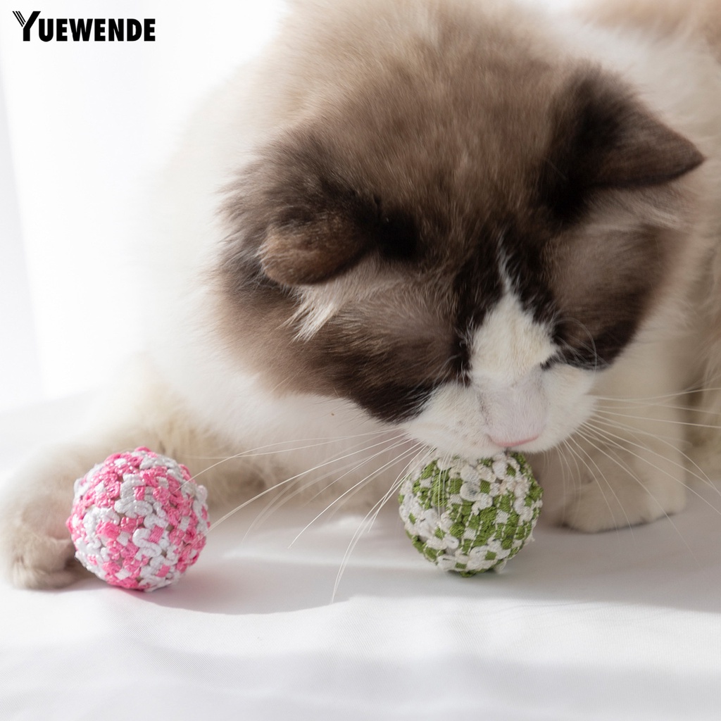 Bóng Nhiều Màu Thân Thiện Với Môi Trường Huấn Luyện Thú Cưng