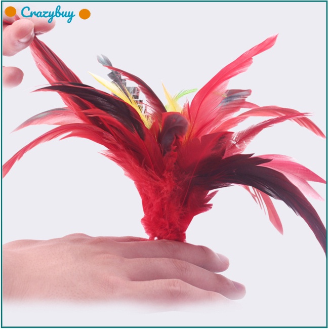 Cr Set 3 Lông Vũ Nhiều Màu 20cm Phong Cách Trung Hoa