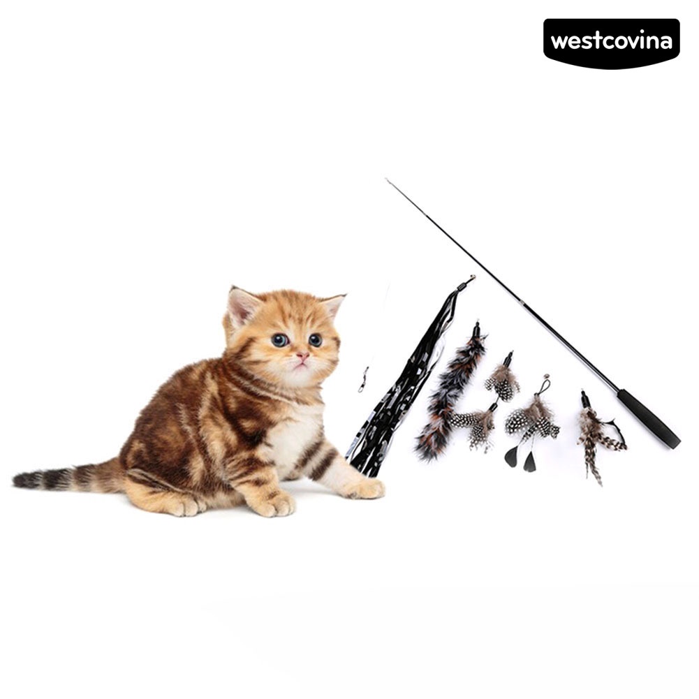 [COD]♞Set 6 Gậy Lông Vũ 3 Khúc Có Thể Thu Gọn Thay Thế Cho Mèo Cưng