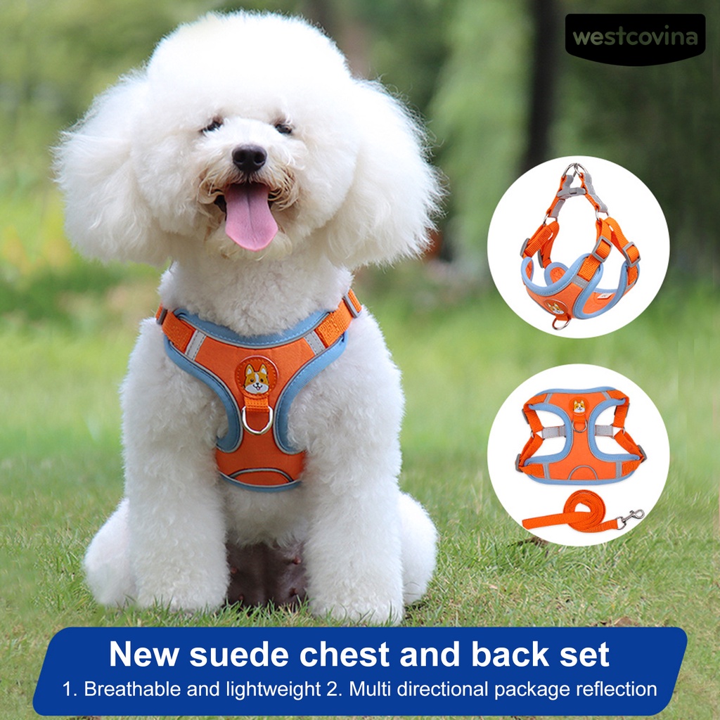 [COD]♞Set 2 Dây Dắt Thú Cưng Đi Dạo Chống Cút Thiết Kế Phản Quang Thoáng Khí