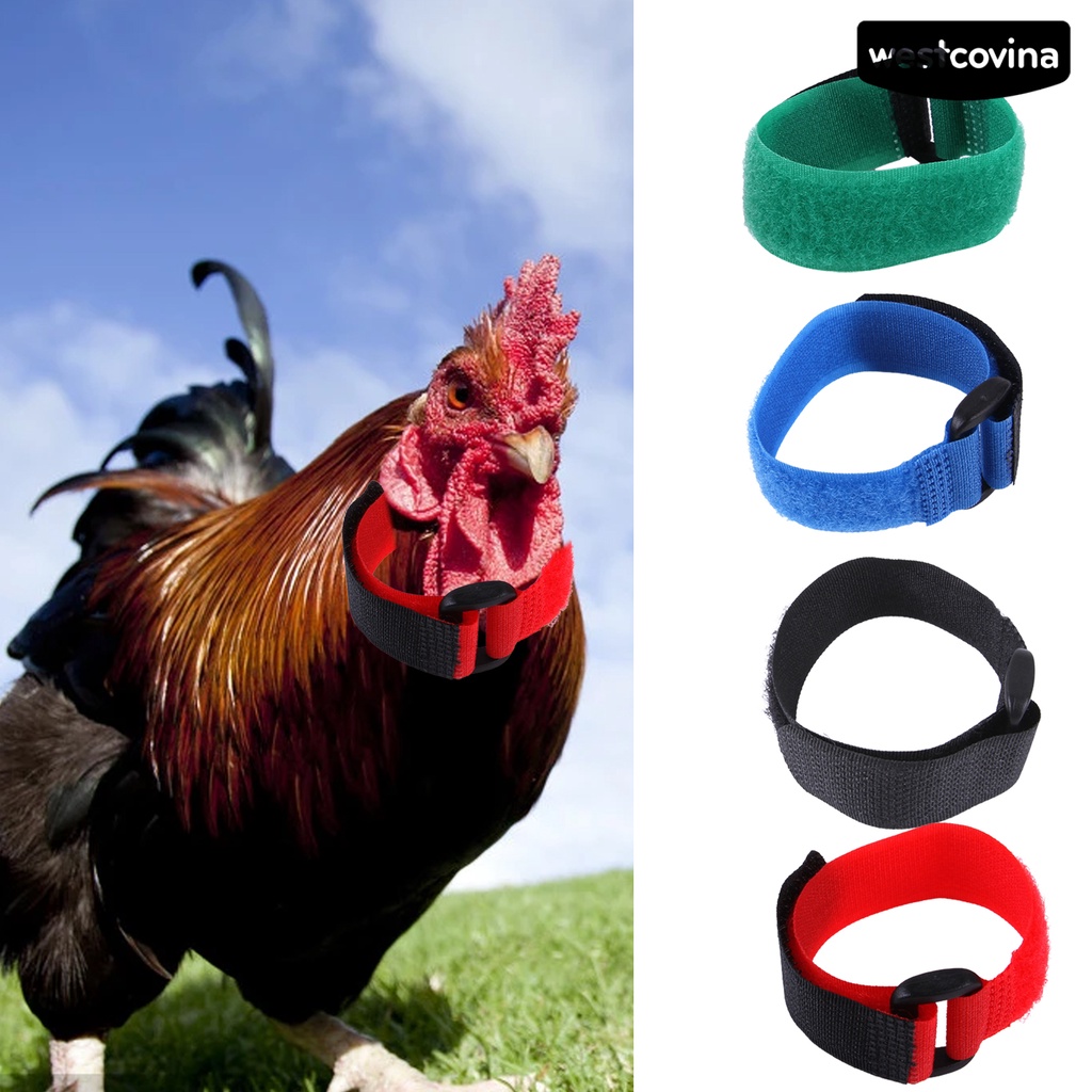 [COD]♞Set 2 Vòng Cổ Nylon Siêu Mềm Chống Mài Mòn Cho Gia Cầm Ngỗng