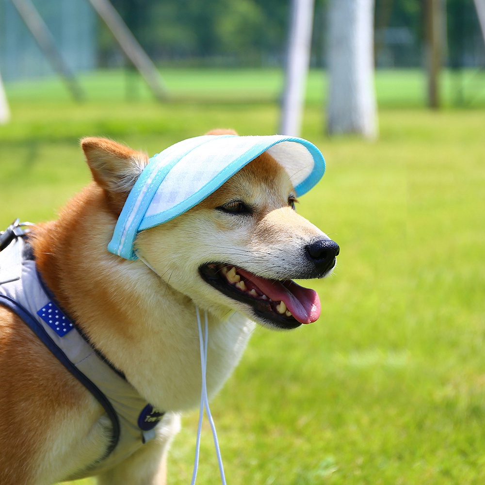 Mũ Lưỡi Trai Họa Tiết Hoạt Hình Dễ Thương Cho Thú Cưng