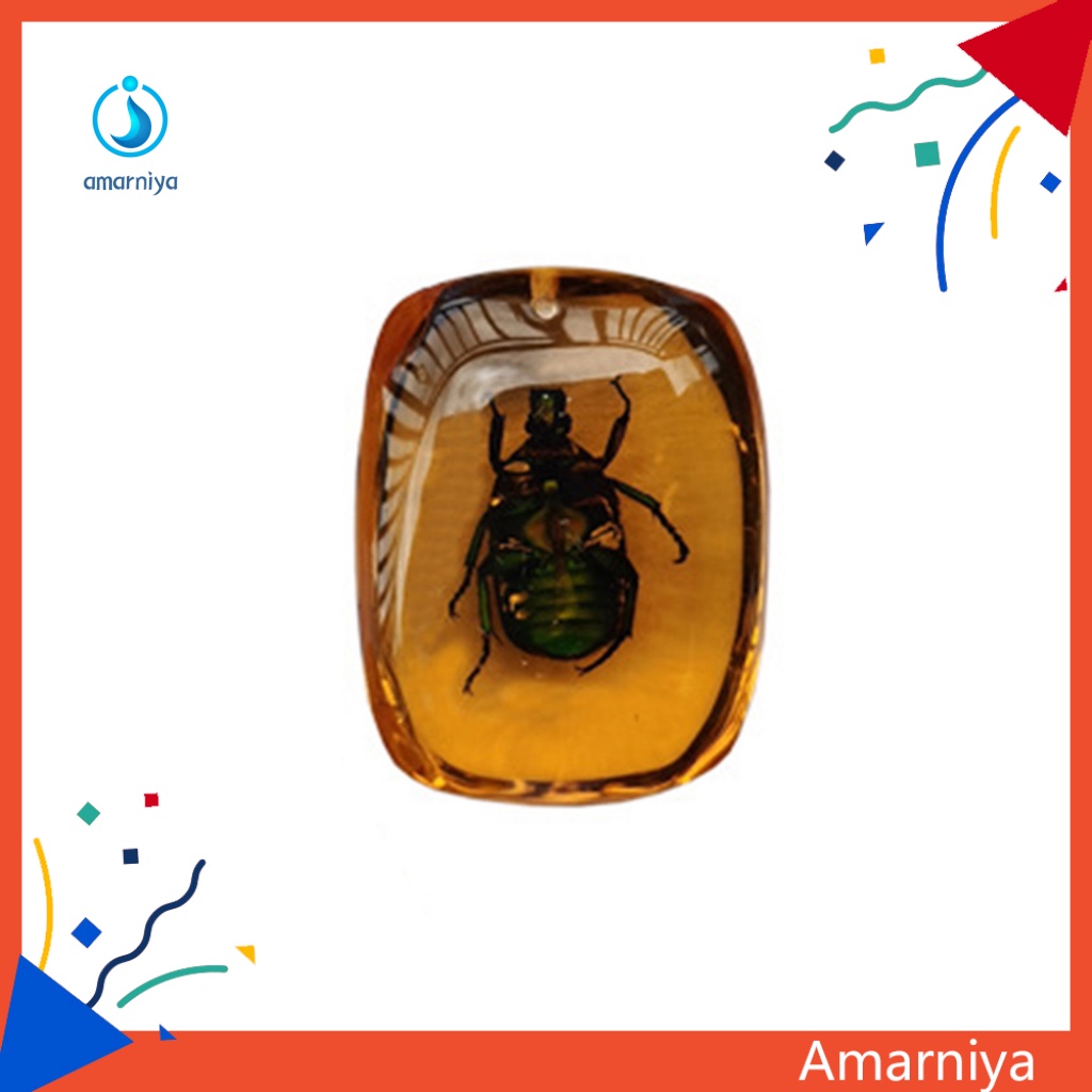 Con Bướm Đồ Chơi Bằng Nhựa Thân Thiện Với Môi Trường Dành Cho Trẻ Em Và Người Lớn