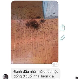 Thuôc Diệt Kiến Gián Sinh Học hiêu quả (5 lọ)