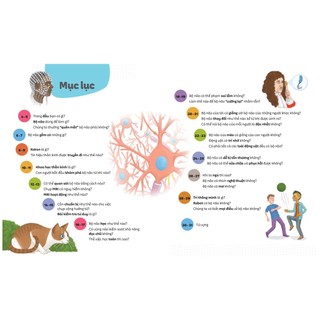Sách Em Biết Gì? - Não Bộ