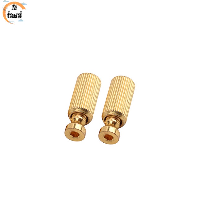 Bộ 2 Đinh Tán Tremolo Có Thể Điều Chỉnh Cho Đàn Guitar Điện