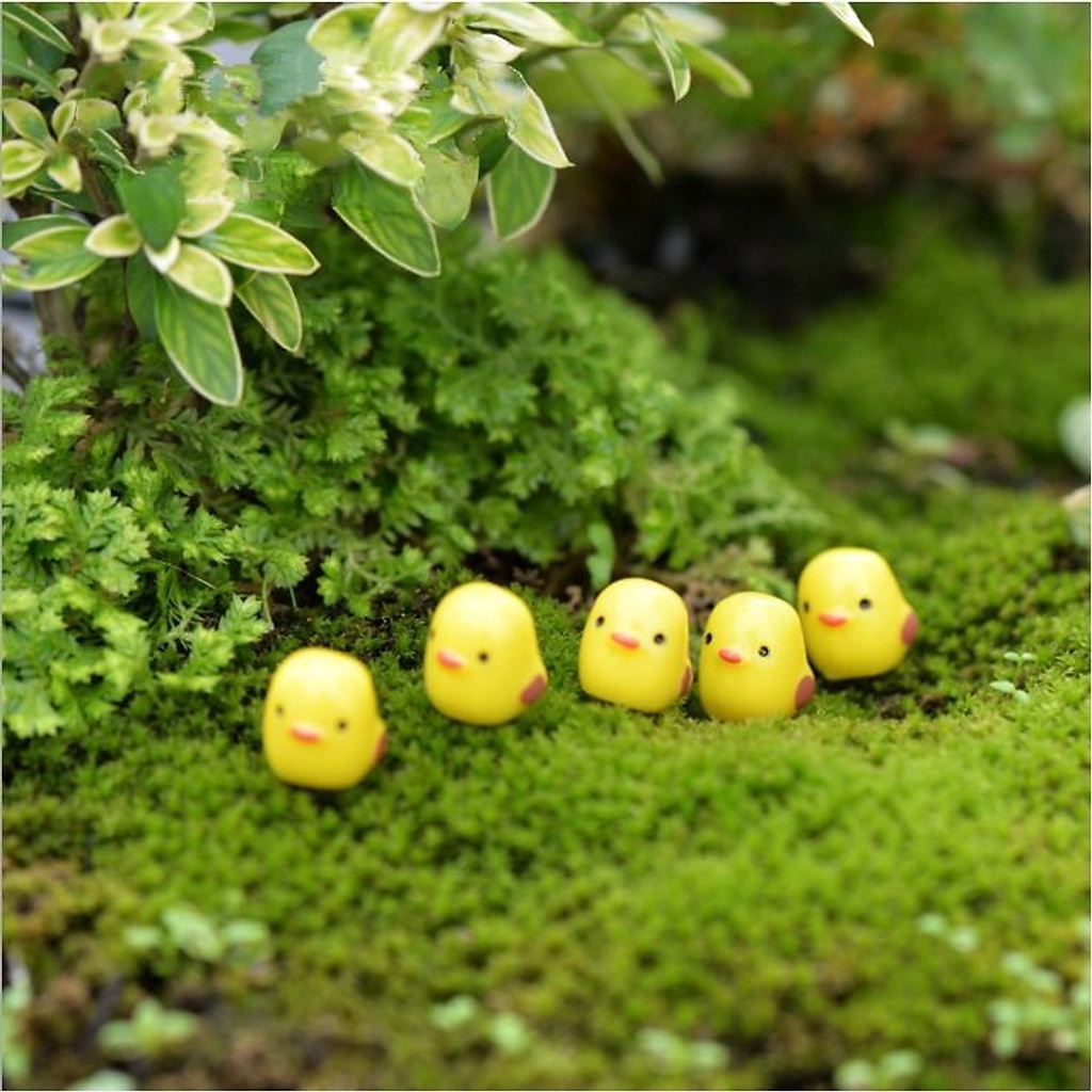 Mô Hình Tiểu Cảnh "Gà con Mini" Trang Trí Sen Đá, Sân Vườn/ Chậu Cây, DYI, Terrarium