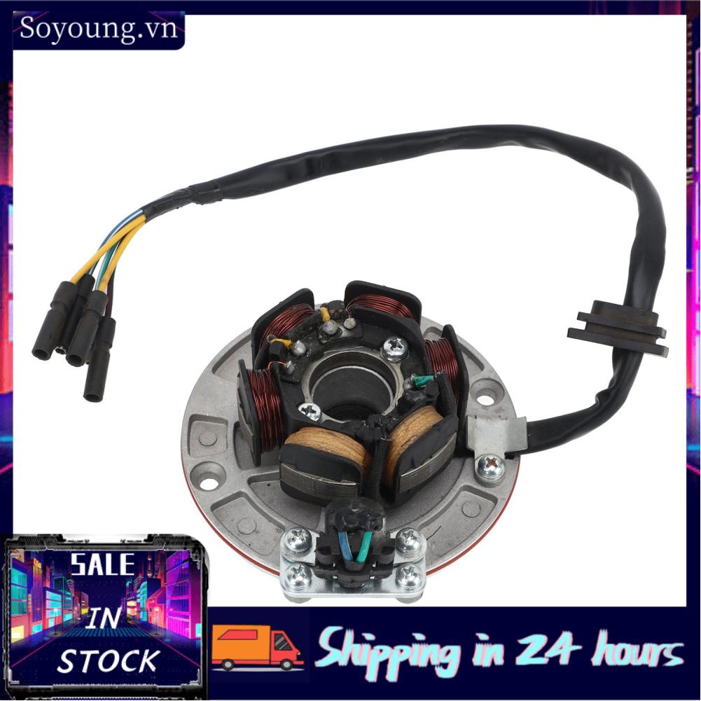 Soyoung Magneto Stator Coil  5 Wire Powerful for 150cc 160cc Kick Start Engine