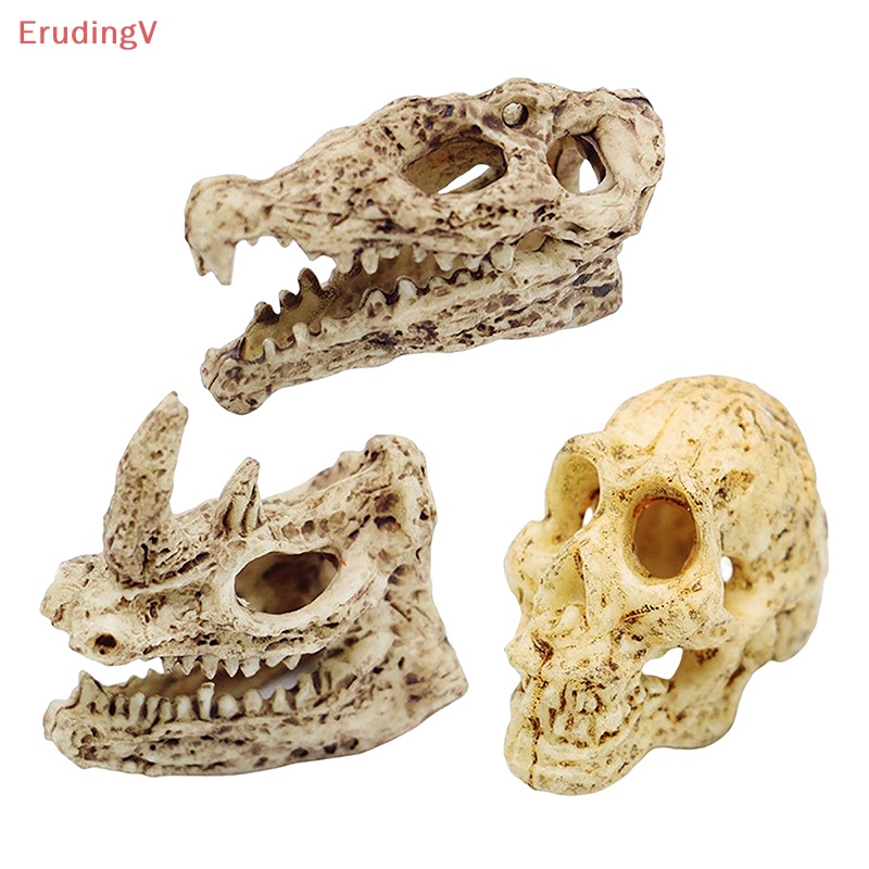 [ErudingV] Mô Hình Đầu Lâu Động Vật Tỉ Lệ 1: 12 Trang Trí Tiểu Cảnh Halloween