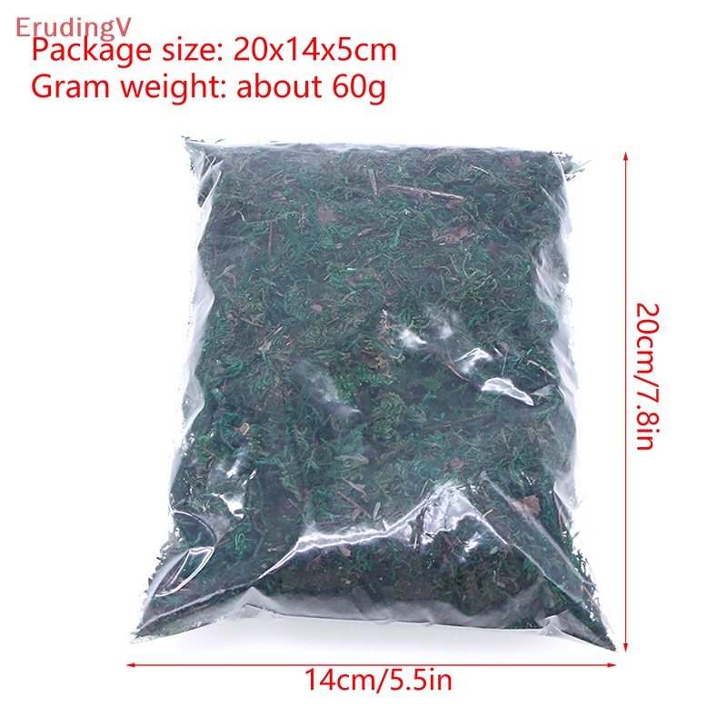 Cỏ San Hô Nhân Tạo DIY Trang Trí Nhà Búp Bê Tỉ Lệ 1: 12