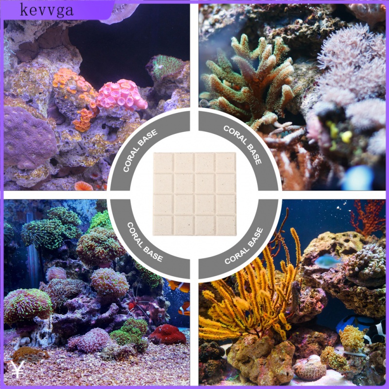 Set 10 Đĩa Sứ San Hô Hỗ Trợ Bể Cá