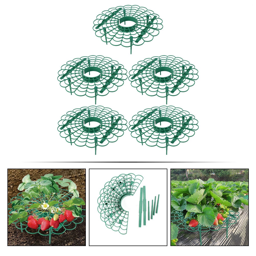 Bộ 5 Giá Đỡ Hỗ Trợ Trồng Dâu Tây Chuyên Dụng