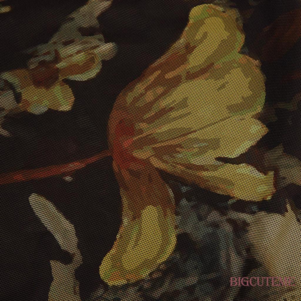 Đầm Lưới Hai Dây Hở Lưng Phong Cách Vintage Thời Trang Mùa Hè Dành Cho Nữ