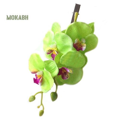 Kẹp Tóc Hoa Phaenopsis Giả Thời Trang Cho Cô Dâu