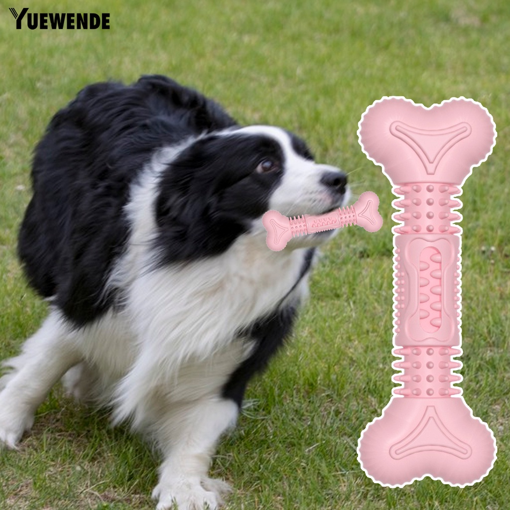 Đồ Chơi Huấn Luyện Cún Cưng Hình Khúc Xương Hoạt Hình Sáng Tạo Chống Mòn Chống Trầy Xước