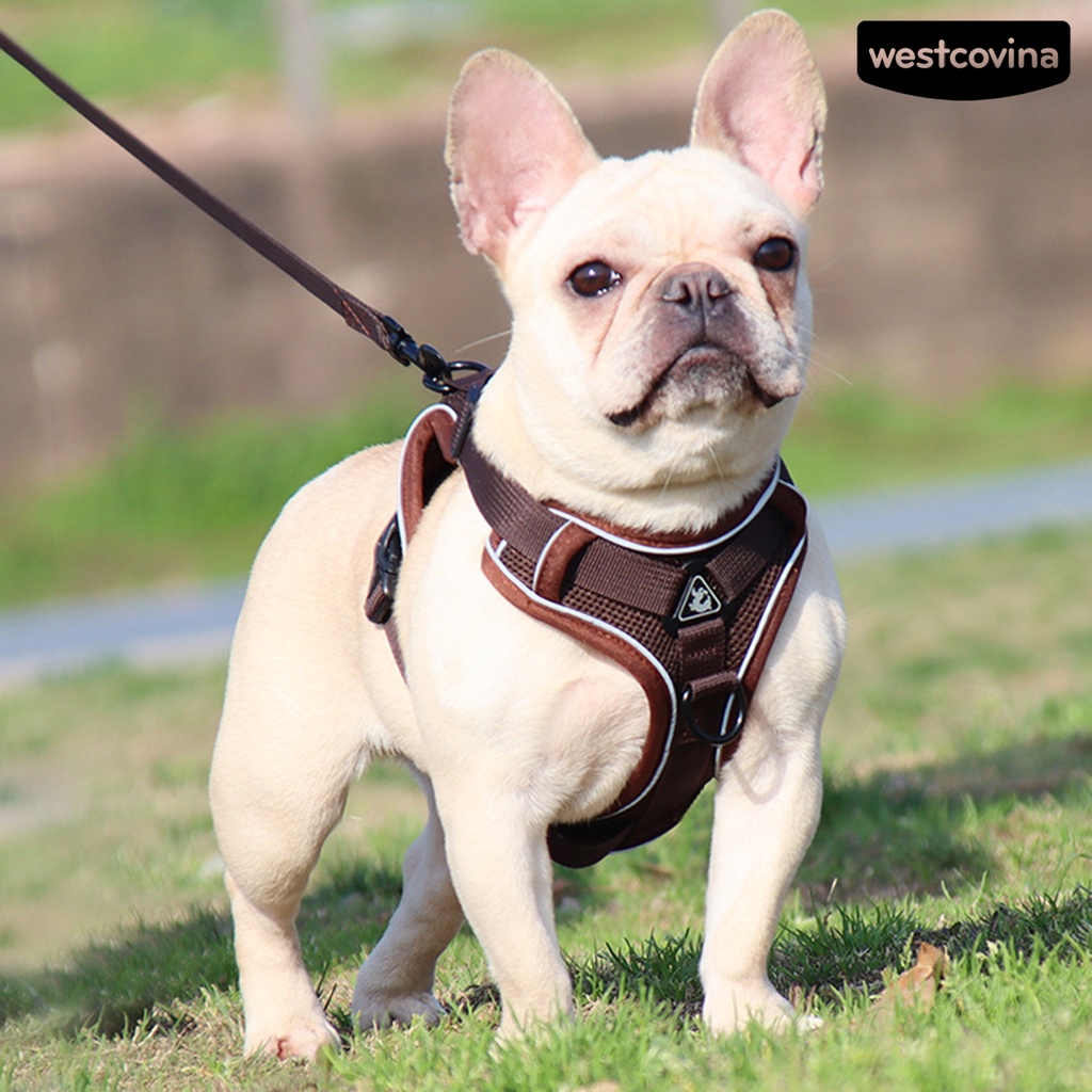 [COD]♞Dây Dắt Thú Cưng Đi Dạo Phản Quang An Toàn Tiện Dụng