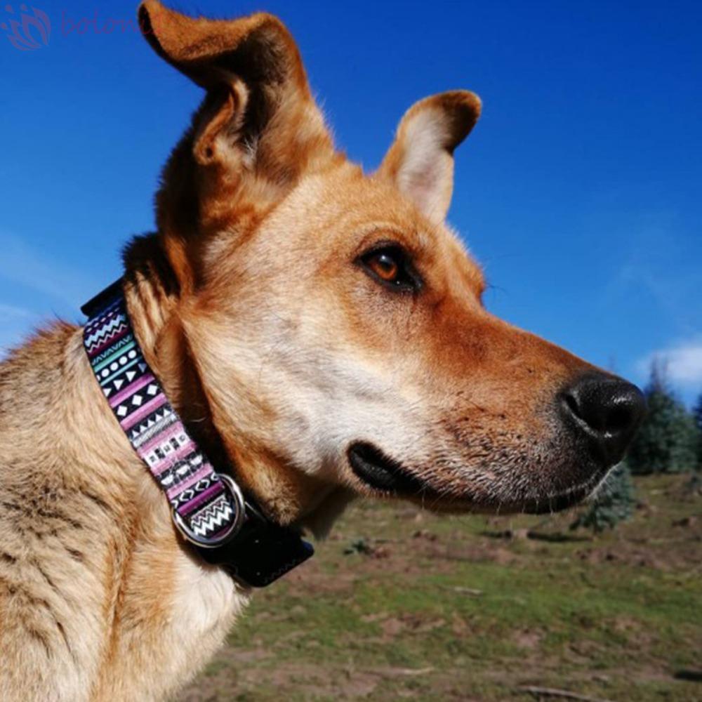 [COD] Vòng Cổ Choker Bằng Polyester In Họa Tiết Hoa Phong Cách Bohemian Tùy Chỉnh Thời Trang Cho Cún Cưng Chihuahua