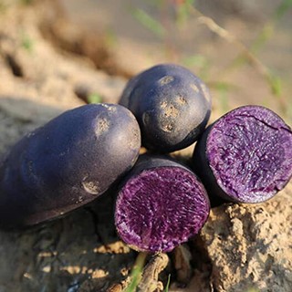 HẾT HÀNG SẢN PHẨM