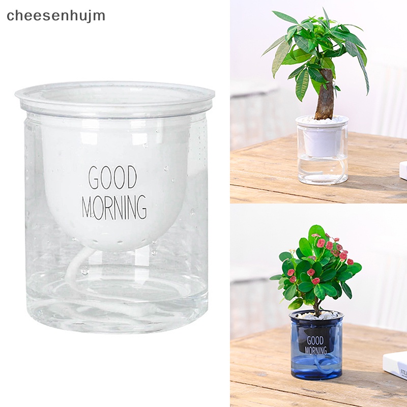 Chậu Hoa Trong Suốt Tự Tưới Nước Dùng Trang Trí Nhà Cửa / Sân Vườn