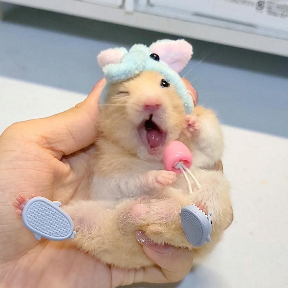 Dép Bông Đi Trong Nhà Hình Cá Mập Chuột Hamster Dễ Thương