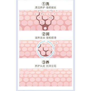 Cùng phong cách#上官博士防脱育发洗发水控油蓬松去屑止痒柔顺洗发水官方正品男女*