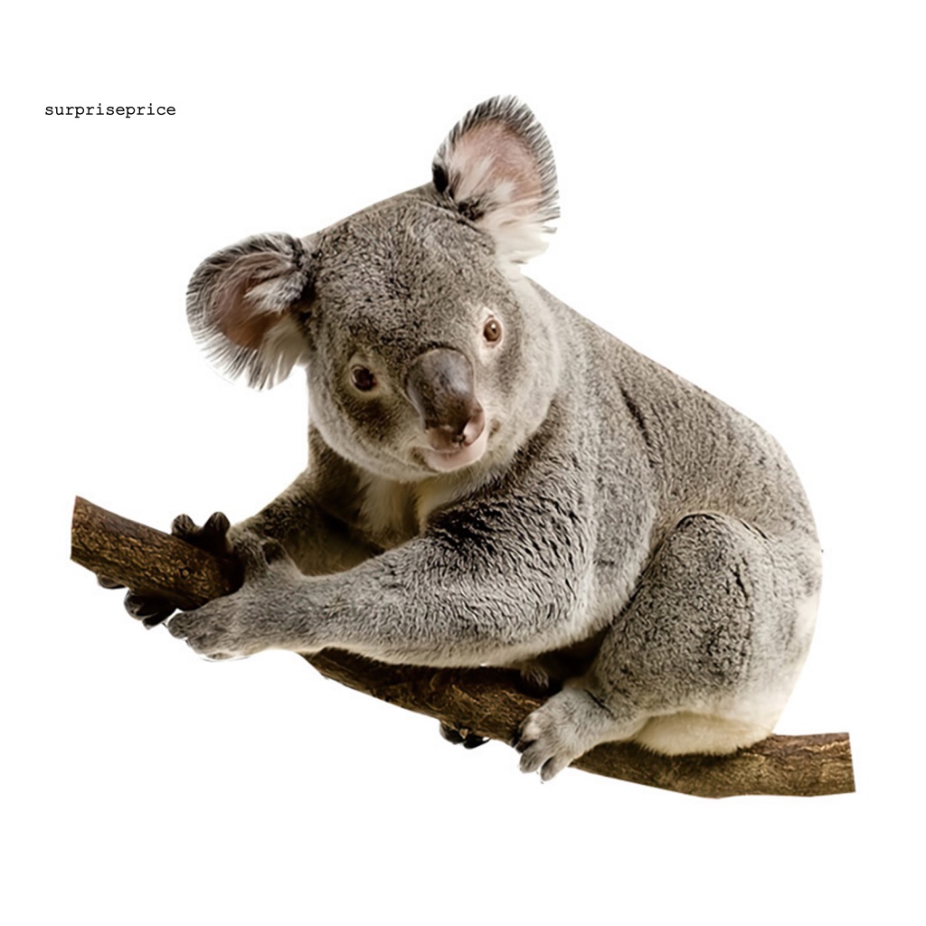 Sticker PVC Dán Tường / Cửa Sổ In Hình Gấu Koala Graffiti Chống Nước Trang Trí Phòng Bé