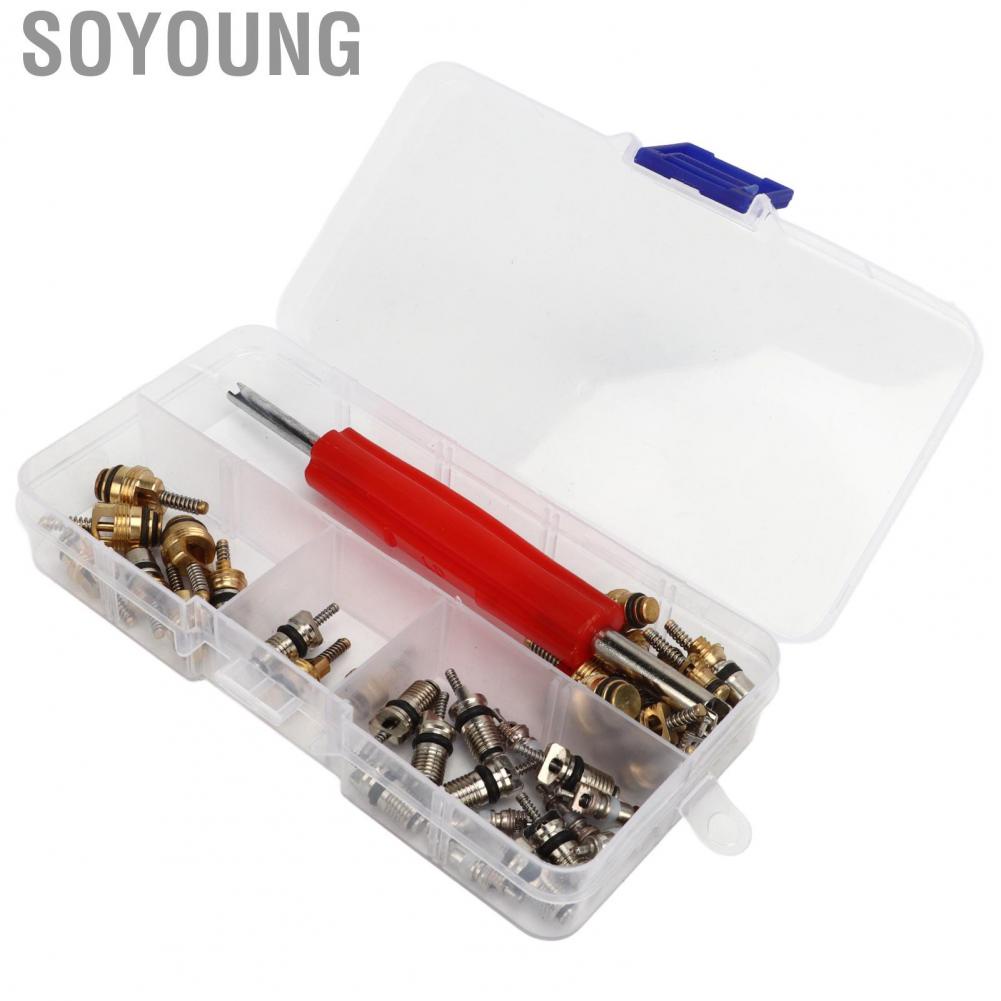 Soyoung AC Valve Core Repair Set  Multipurpose Refrigeration Tire Stem Lightweight Aluminium Copper 41Pcs Portable with Remover for Car Home