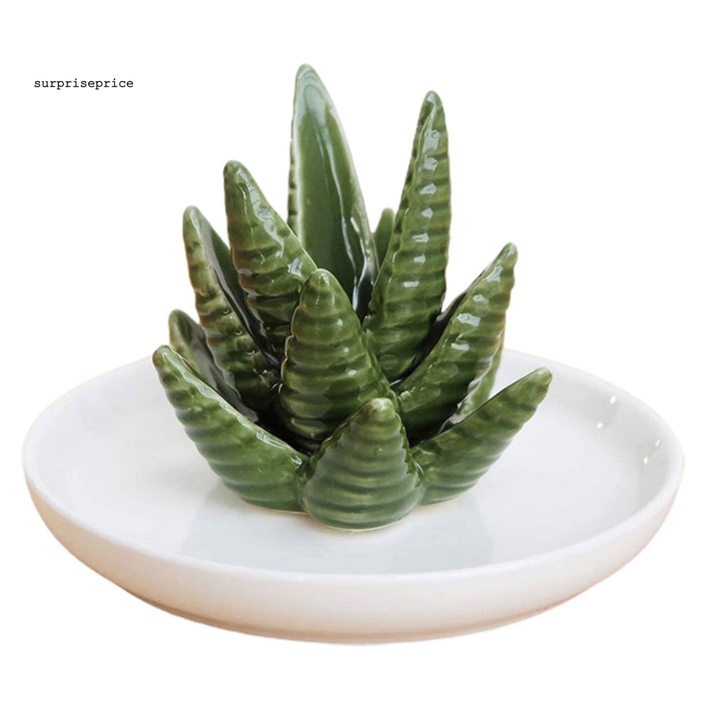 Đĩa Sứ Hình Lô Hội Trưng Bày Trang Sức Vòng Tay Dễ Vệ Sinh