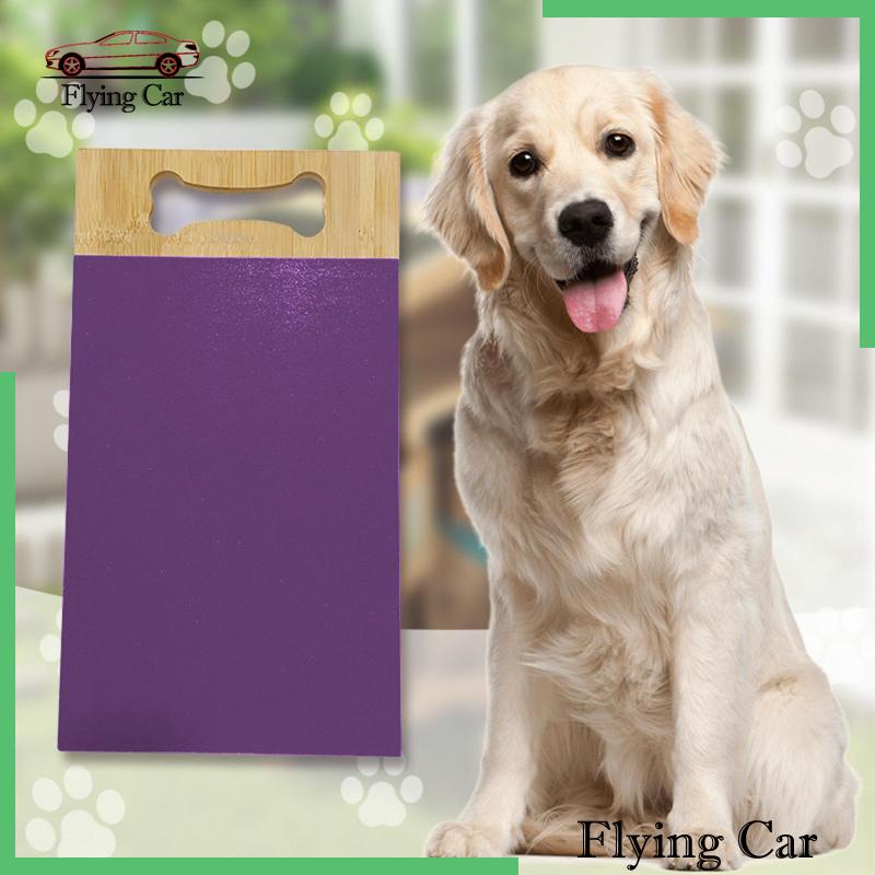 Set 2 Cuộn Giấy Nhám 13 * 9 Inches Thay Thế Tiện Dụng