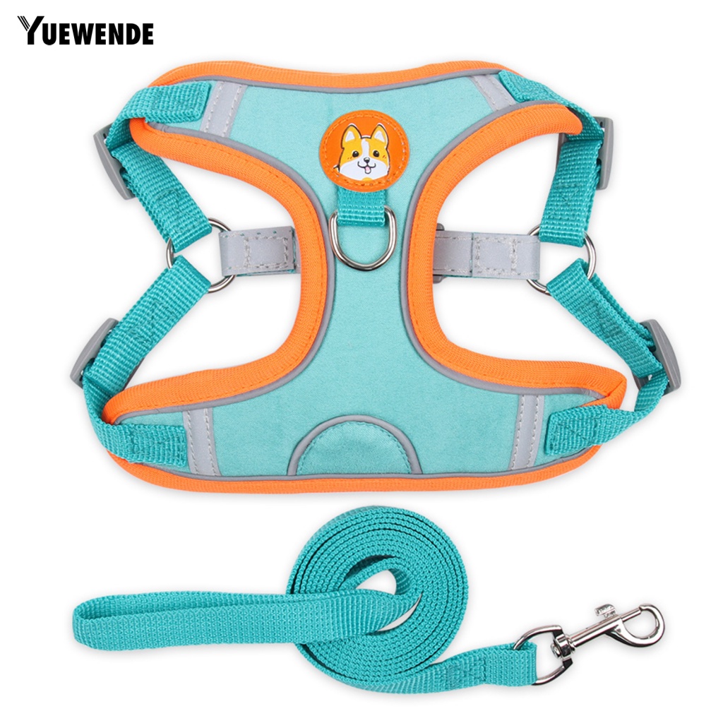 Set 2 Dây Dắt Thú Cưng Đi Dạo Thân Thiện Với Môi Trường Màu Sắc Tương Phản