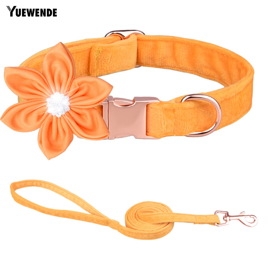 1 Bộ Vòng Cổ Thân Thiện Với Môi Trường Kèm Dây Dắt Cho Thú Cưng