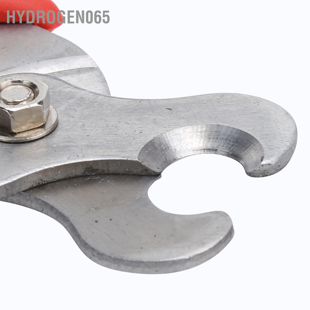 Hydrogen065 Dụng cụ gỡ thẻ tai bấm động vật bằng thép không gỉ cho Lợn Gia súc Cừu