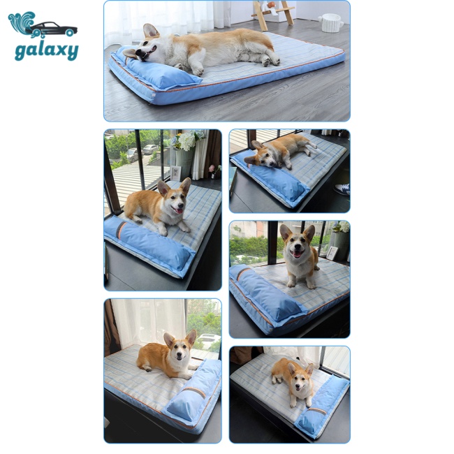 Galaxy Thảm Lót Làm Mát Thoáng Khí Chống Trượt Chống Mài Mòn Cho Thú Cưng