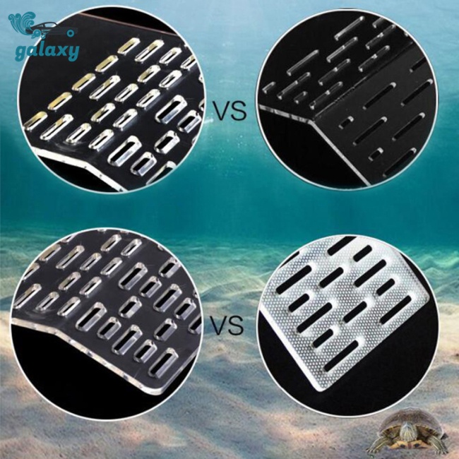 Galaxy Bệ Đứng Trong Suốt Có Cốc Hút Dành Cho Bể Nuôi Rùa