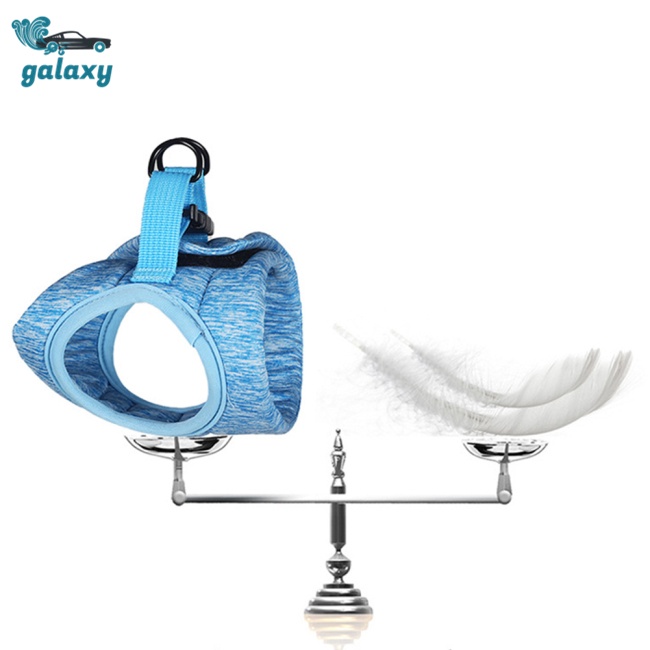 Galaxy Bộ Áo Vest + Dây Dắt Có Khóa Điều Chỉnh Thoáng Khí Chống Thoáng Khí Thoải Mái Cho Mèo
