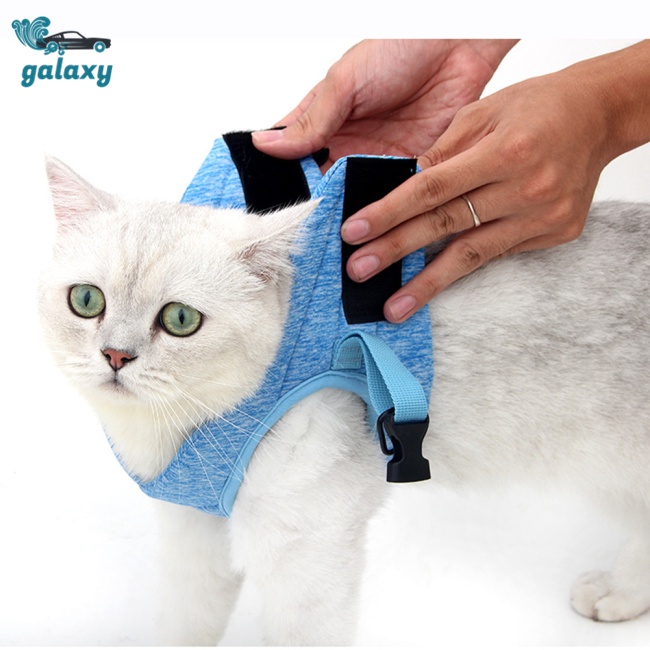 Galaxy Bộ Áo Vest + Dây Dắt Có Khóa Điều Chỉnh Thoáng Khí Chống Thoáng Khí Thoải Mái Cho Mèo