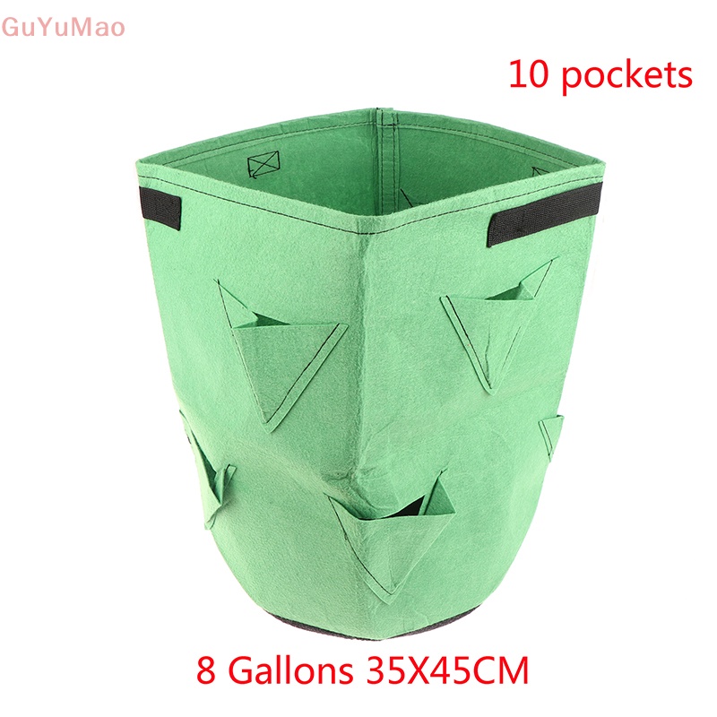 Túi Trồng Dâu / Cà Chua 5 / 7 / 10 Gallons Tiện Dụng
