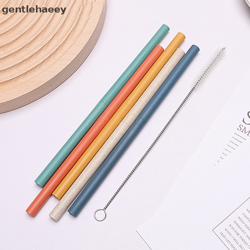 Ống Hút Nhựa Thẳng Kèm Cọ Vệ Sinh Trang Trí Tiệc