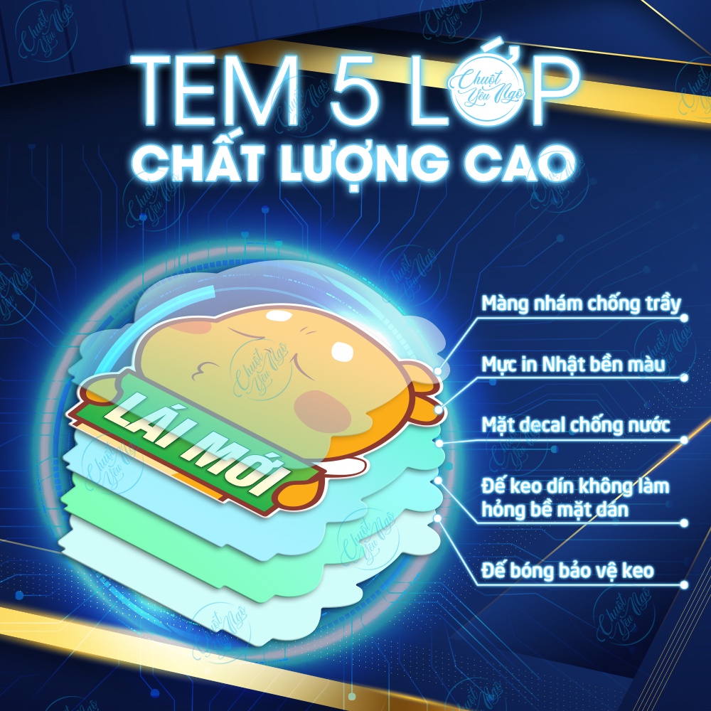 Combo 2 miếng dán Khủng Long Vàng Lái Mới lấy bằng thông cảm dễ thương trang trí xe hơi ô tô decal nhựa chống thấm nước