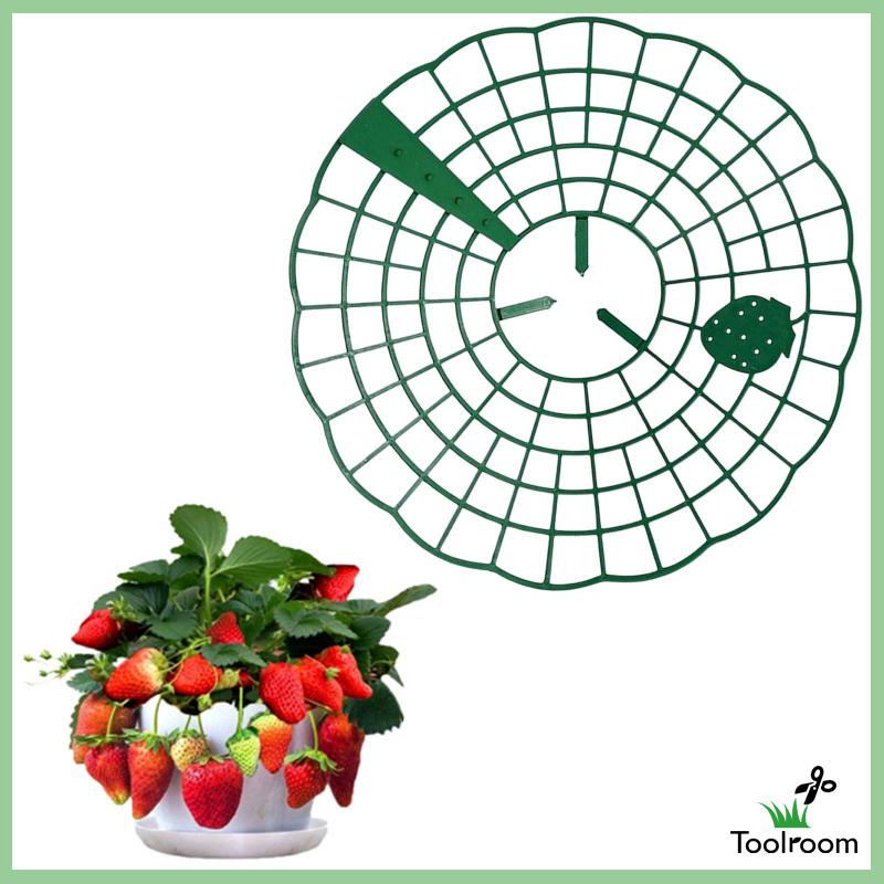 Giá Đỡ Hỗ Trợ Trồng Dâu Tây Tiện Dụng Cho Sân Vườn