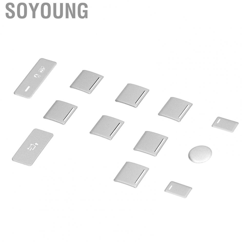 Soyoung 12PCS Window Lift Button  Replacement for Land Rover Range Executive 2013 2014 2015 2016 2017 Auto Parts