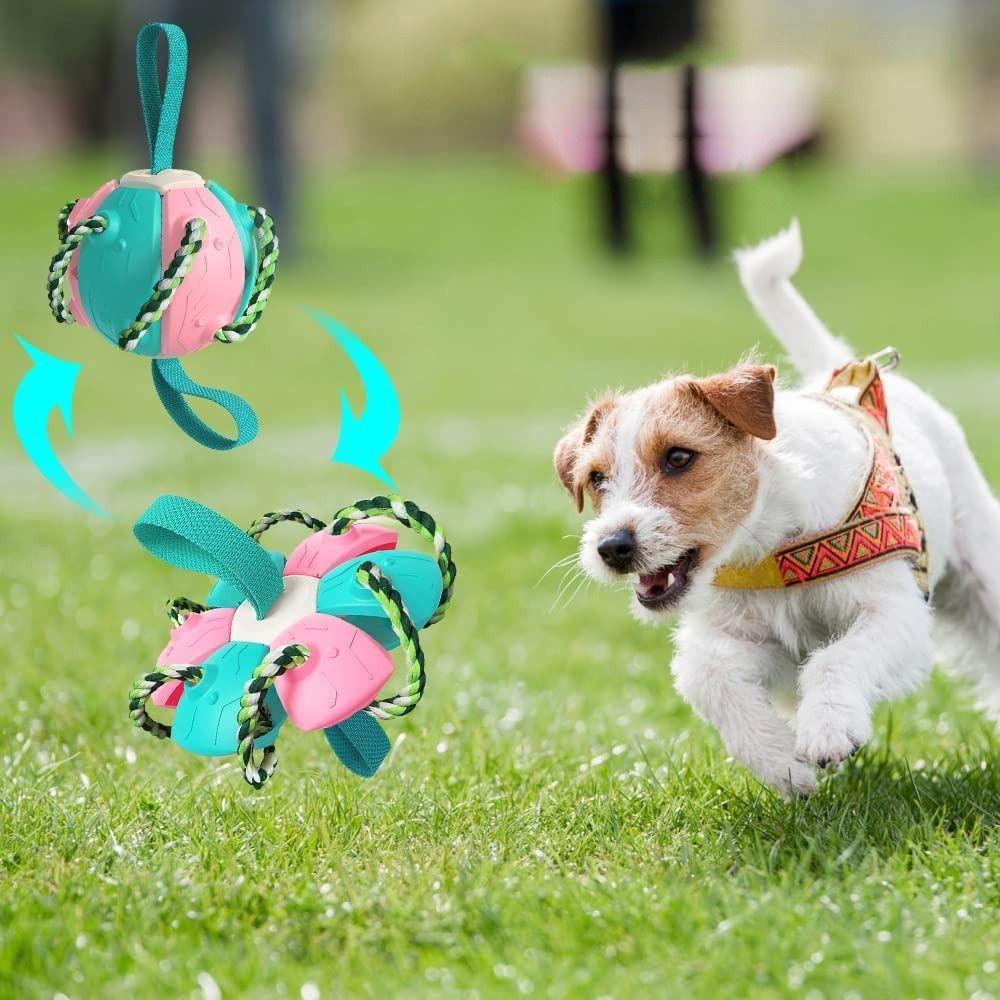 1 Trái Bóng Đồ Chơi Chống Cắn AARON1 Cho Thú Cưng