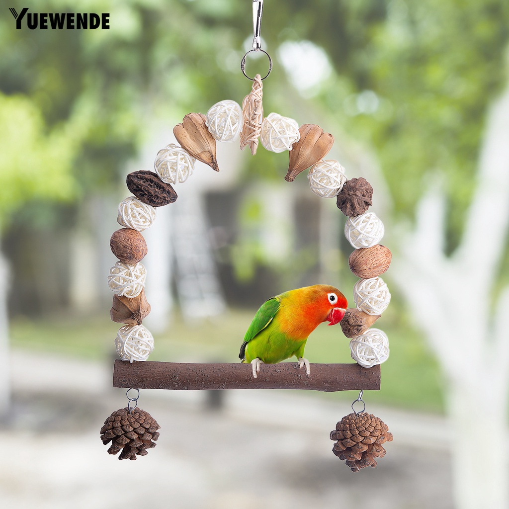 Đồ Chơi Treo Quả Thông Dành Cho Chim Vẹt