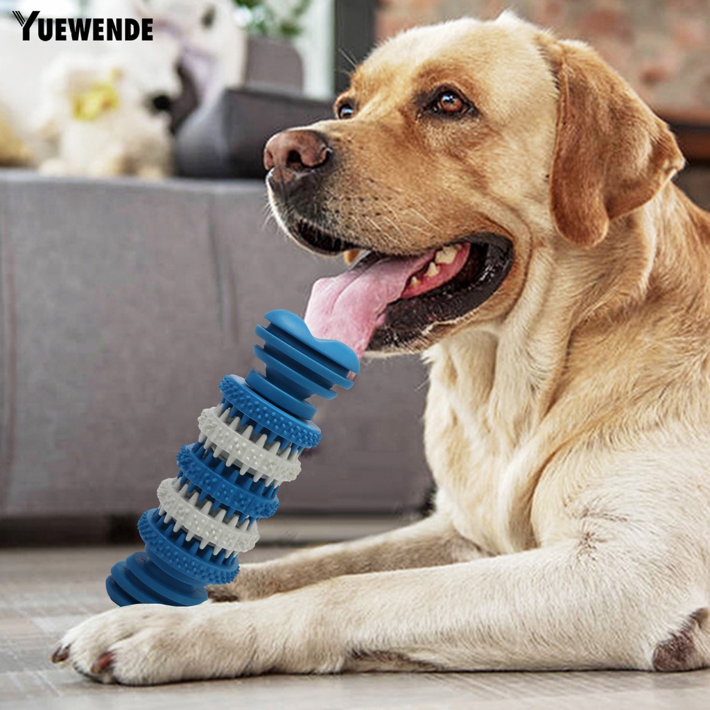 Đồ Chơi Nhai Gặm Bằng Cao Su Tự Nhiên Chống Cắn Lâu Trôi Cho Thú Cưng