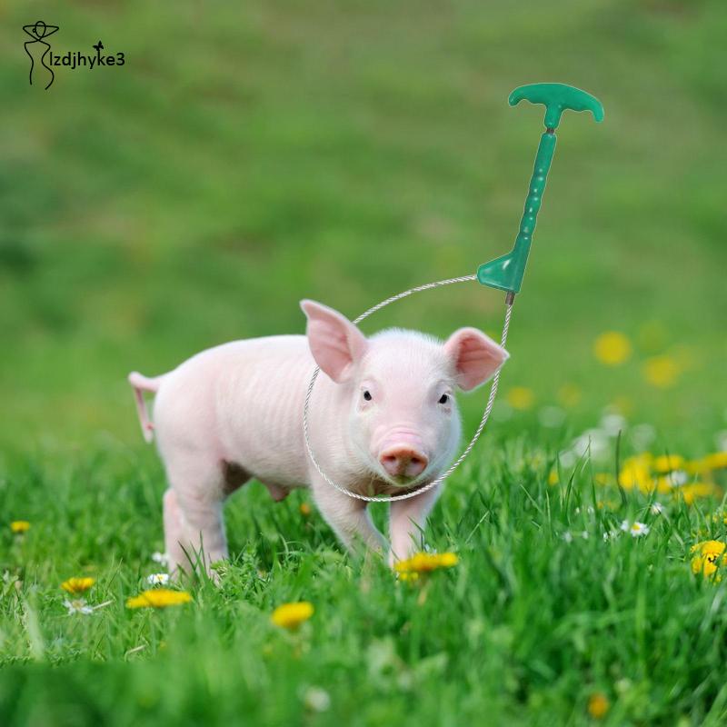 Giá Đỡ Cần Điều Khiển Heo / Chó / Lợn Nặng lzdjhyke3