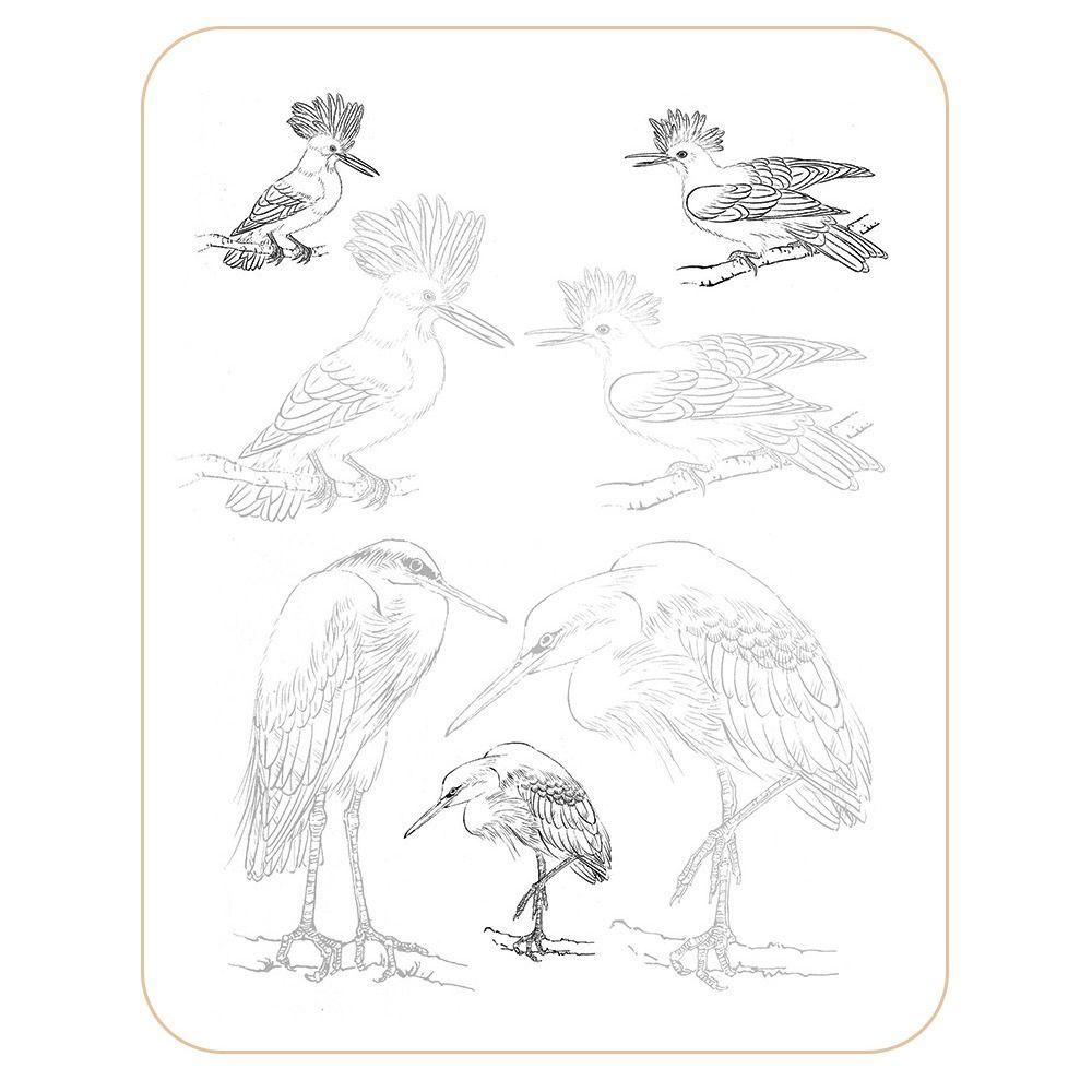 JARRED Sách Tập Vẽ Phác Thảo Chuyên Nghiệp Cho Lớp Nghệ Thuật