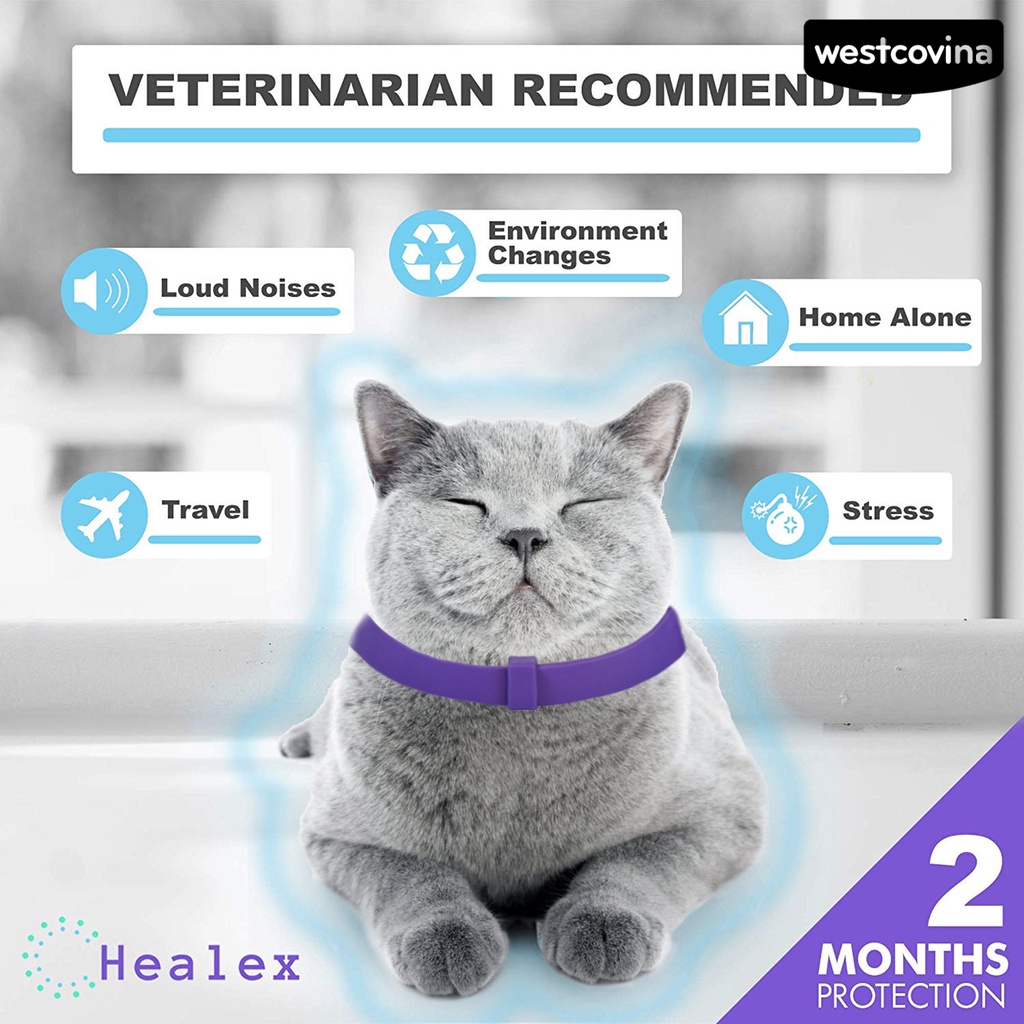 [COD]♞Vòng Cổ Có Thể Điều Chỉnh Thân Thiện Với Môi Trường Giúp Giảm Căng Thẳng Dành Cho Thú Cưng