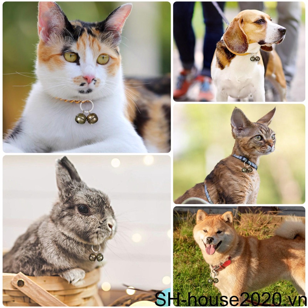 Chuông Nhỏ Bằng Đồng Thau Trọng Lượng Nhẹ Chống Gỉ Sét Có Thể Điều Chỉnh Cho Thú Cưng