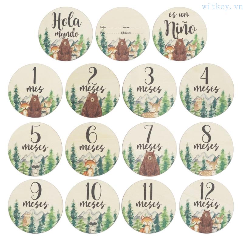 Bộ 6 Thẻ Đánh Dấu Cột Mốc Phát Triển Sinh Nhật Hai Mặt Dành Cho Em Bé