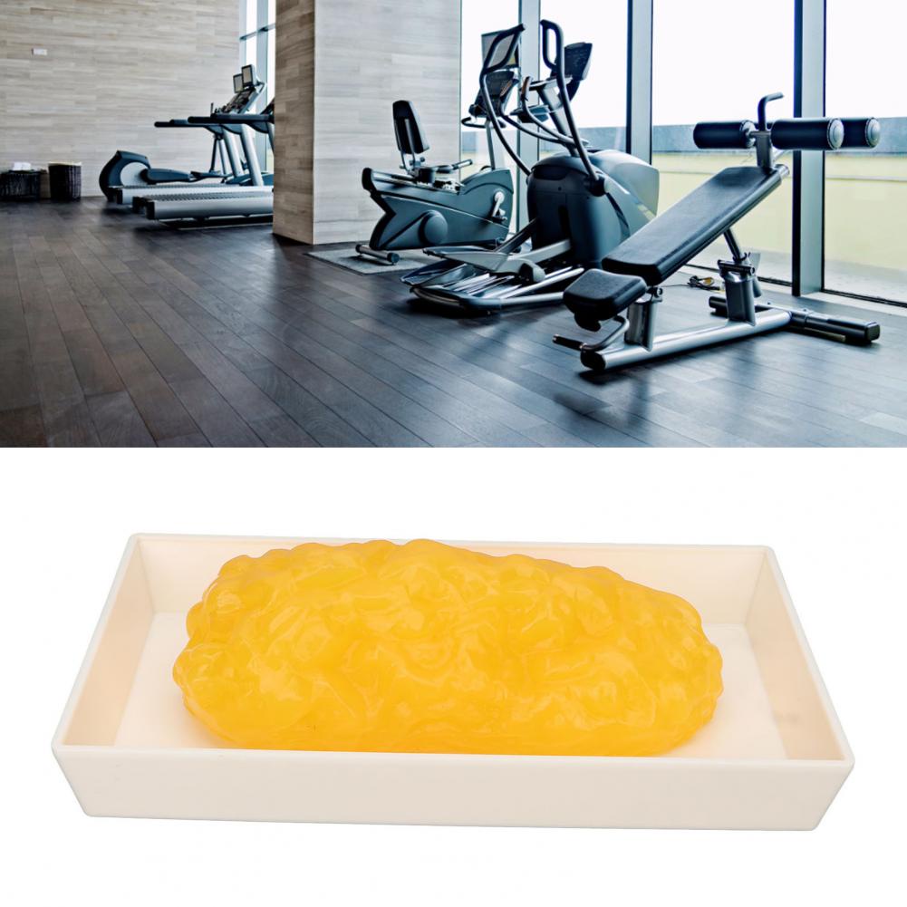 Bản sao mô mỡ cơ thể người 1lb Mô hình trình diễn cho khóa học khoa dinh dưỡng SUNCOL